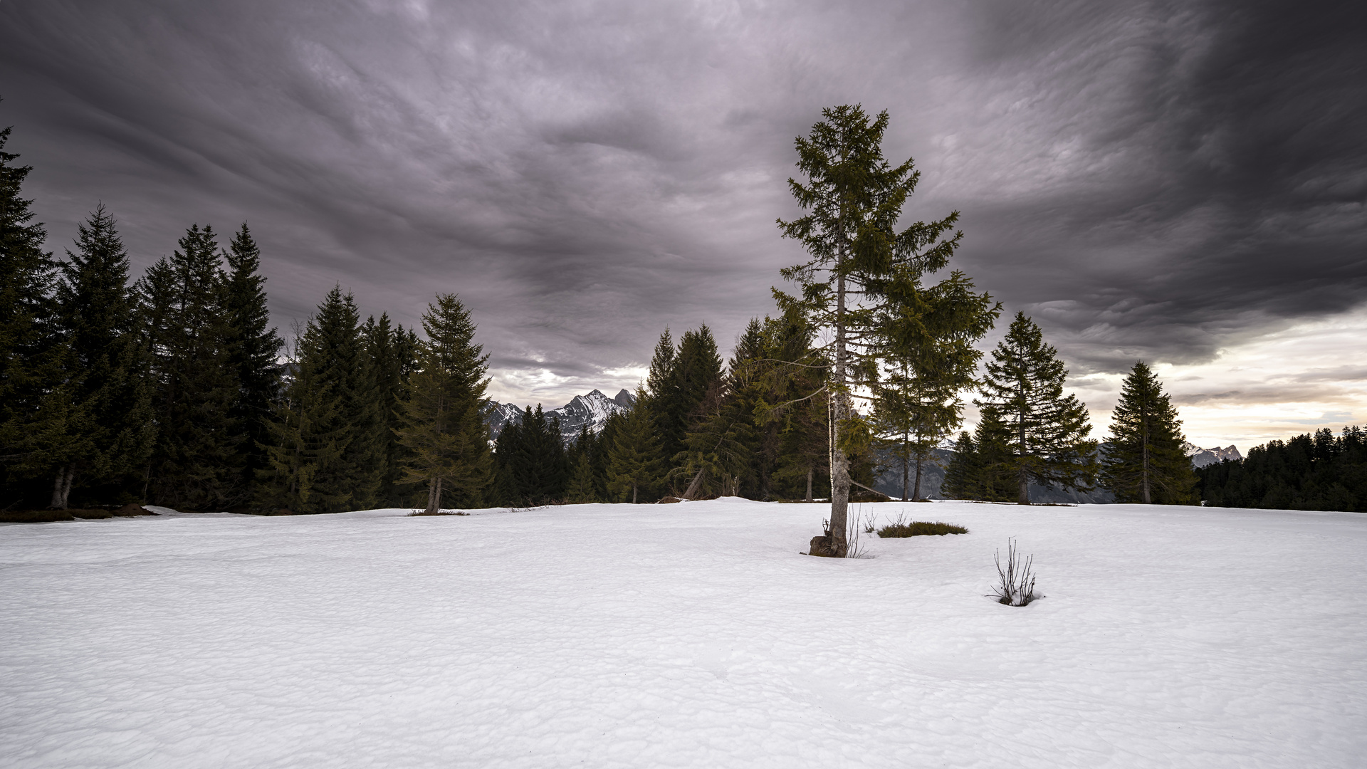 Swiss Alps