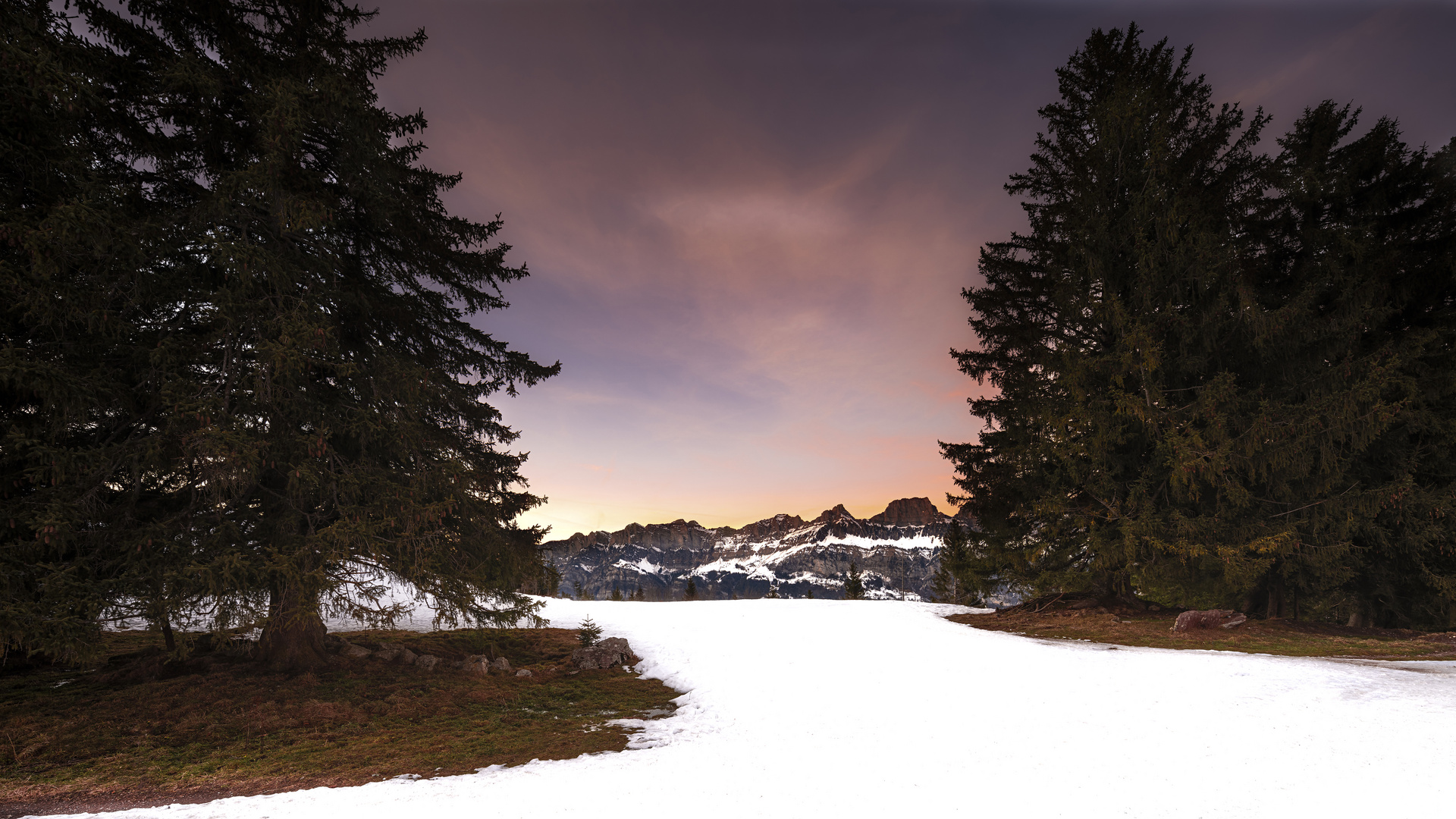 Swiss Alps