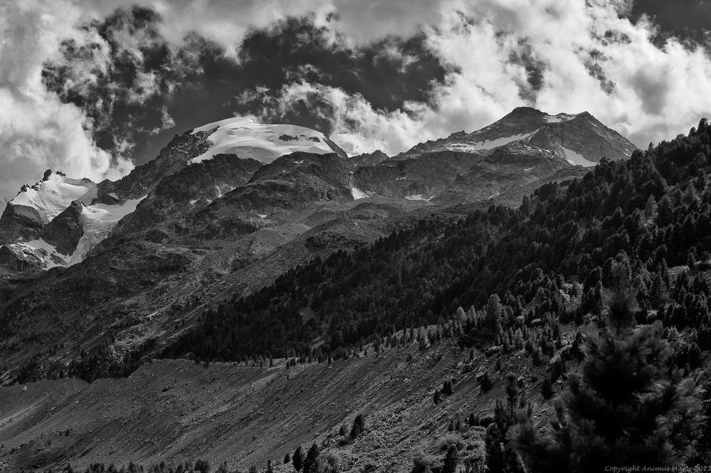 Swiss Alps- Engadin