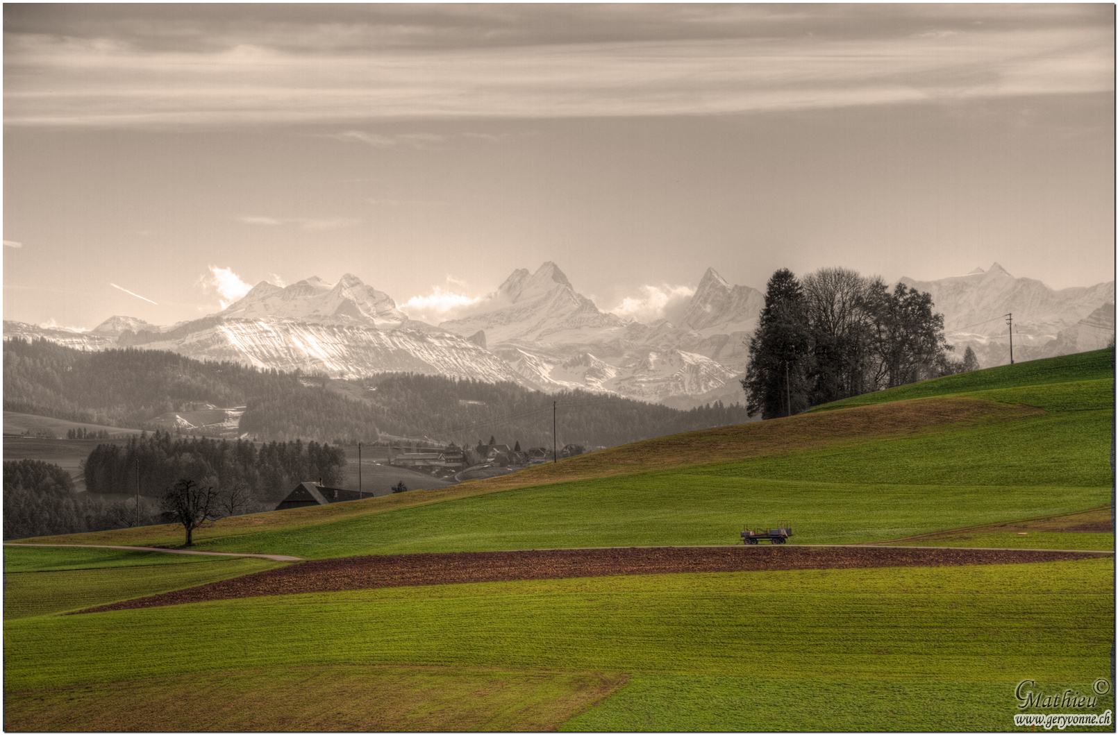 ***SWISS ALPS***