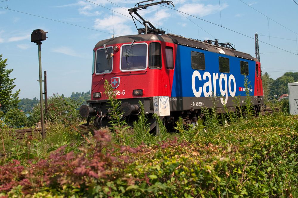 Swiss Cargo 421 395-5