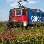 Swiss Cargo 421 395-5