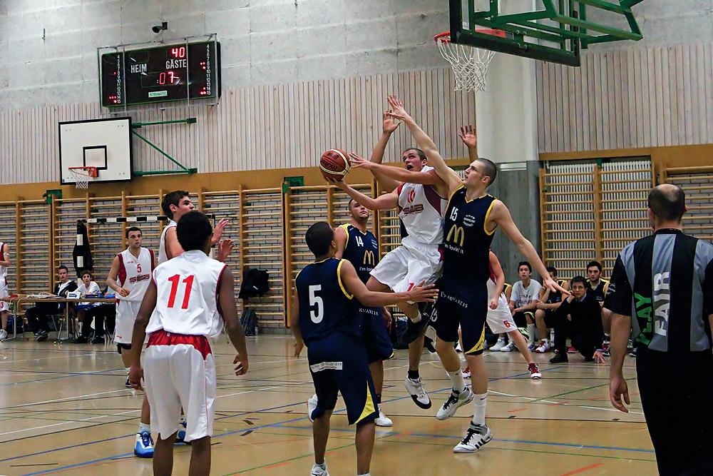Swiss Central Basket Nr.10 Ralph (2)