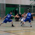 Swiss Central Basket Nr.10 Ralph (6)