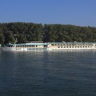 "Swiss Crown" auf dem Rhein bei Worms