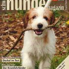 *swiss dog magazin*