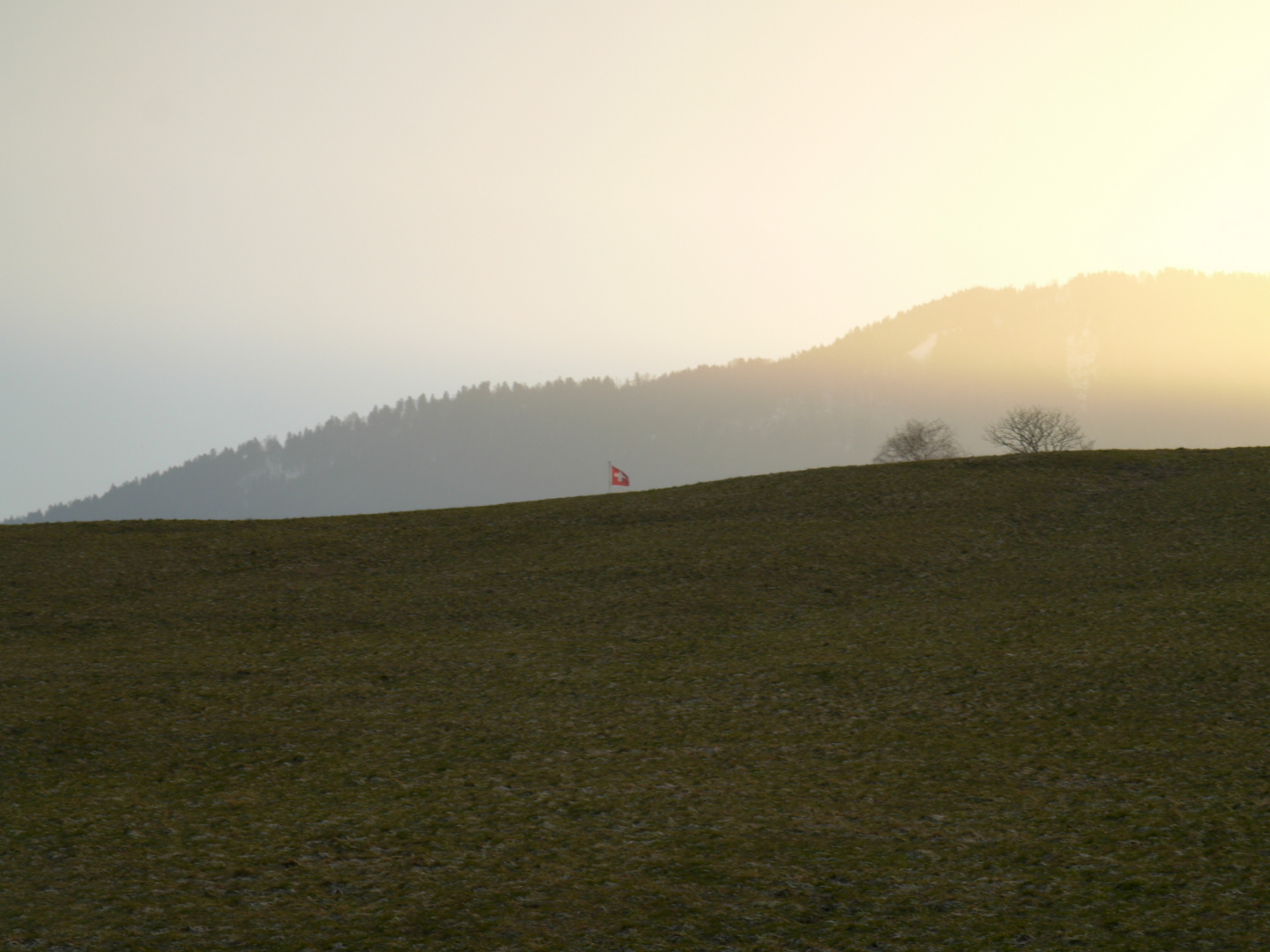 Swiss Field in the Morning / Schweizerisches Feld am Morgen