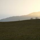 Swiss Field in the Morning / Schweizerisches Feld am Morgen