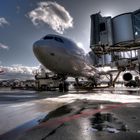 Swiss Flugzeug (A340) angedockt Flughafen ZRH