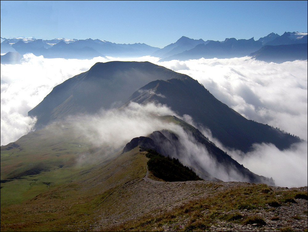 swiss fog