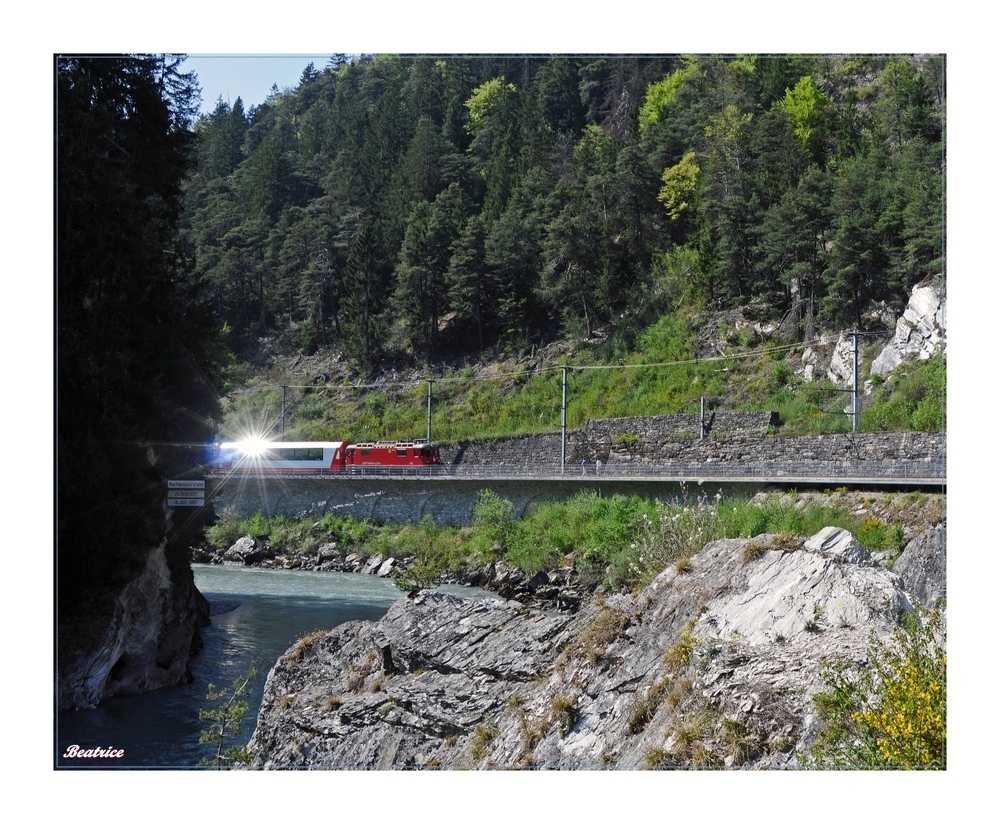 Swiss Glacier Stern