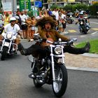 Swiss Harley Days