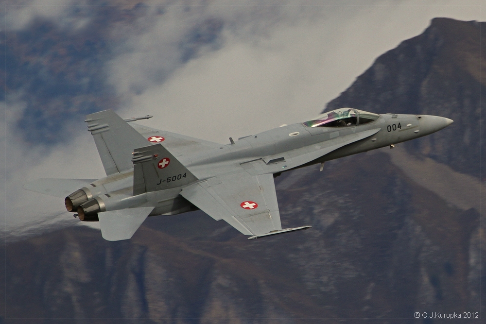 ~ Swiss Hornet ~