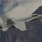 ~ Swiss Hornet ~