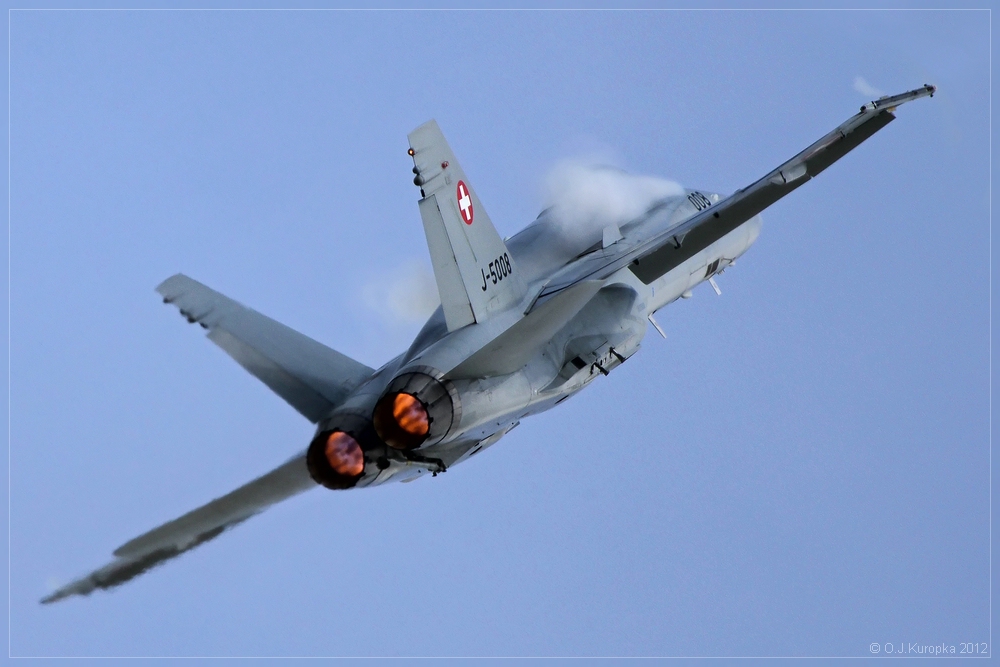 ~ Swiss Hornet ~