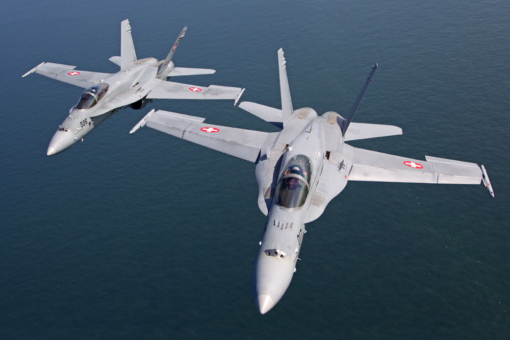 Swiss Hornets