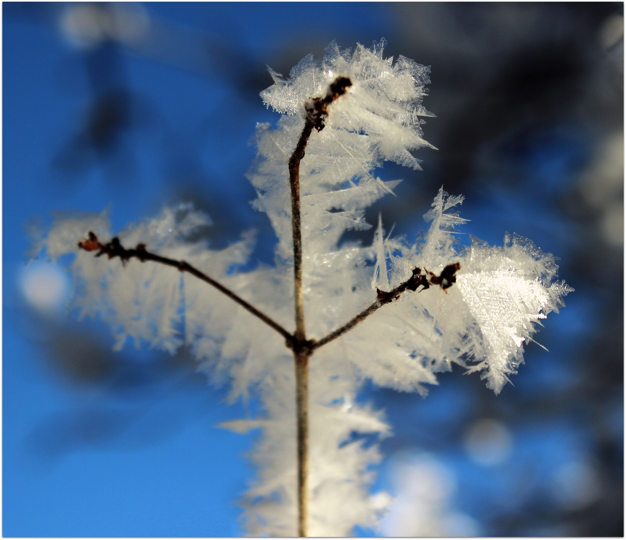 Swiss Ice Stick