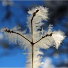 Swiss Ice Stick