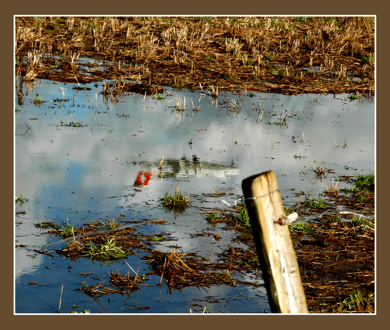 Swiss im Spiegelbild