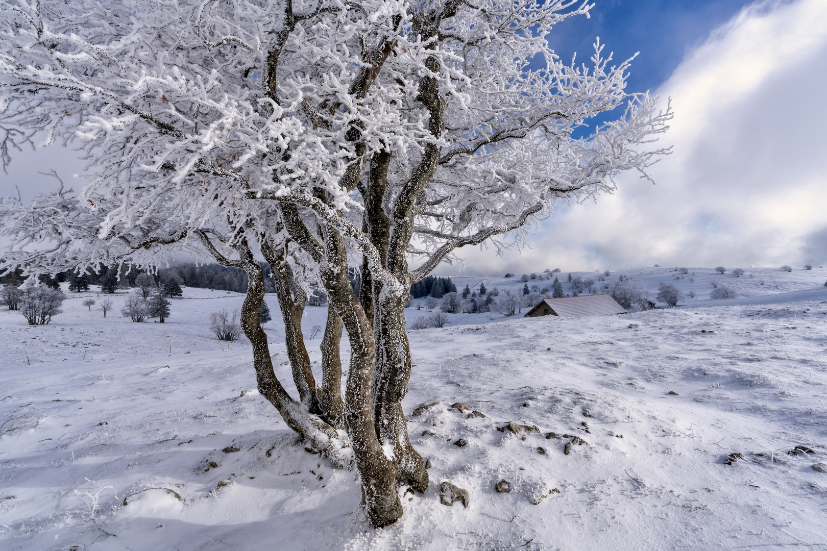 Swiss Jura