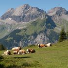 Swiss landscape II