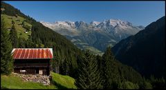 ~ swiss mountain l ~