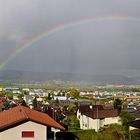 swiss rainbow