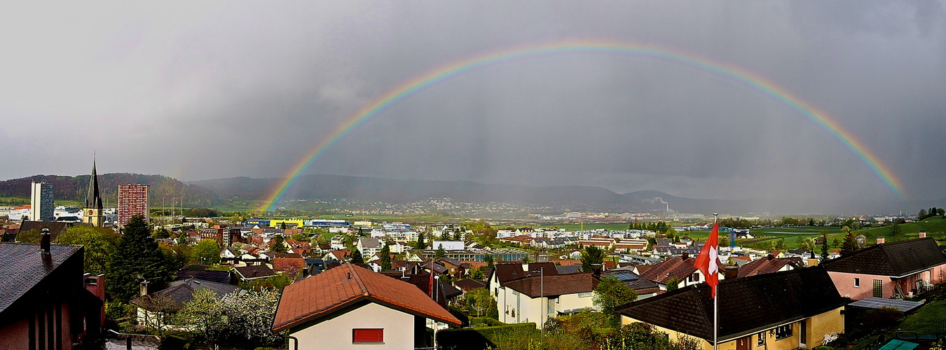 swiss rainbow