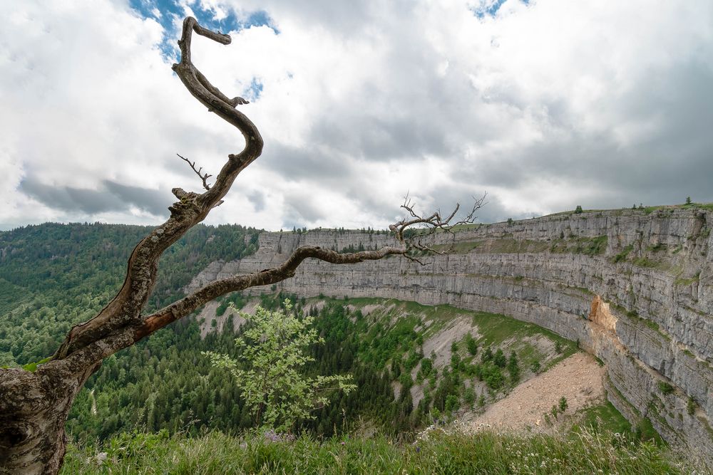 Swiss Rocky Mountains