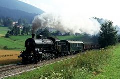 Swiss steam