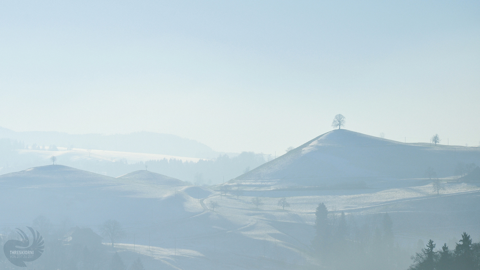 Swiss Winter Dream I