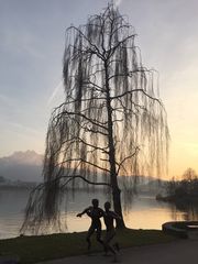 SwissCityMarathon - Lucerne