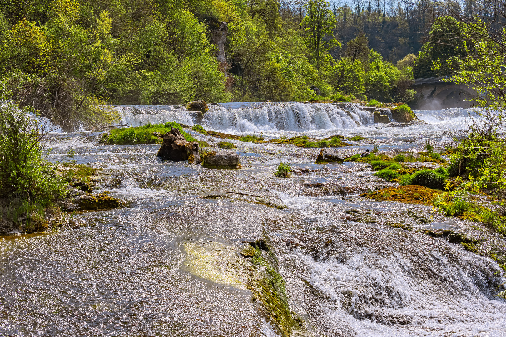 SWITZERLAND : RHEINFALL - SCHAFFHAUSEN