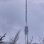 SWR Sendeturm auf der Hornisgrinde