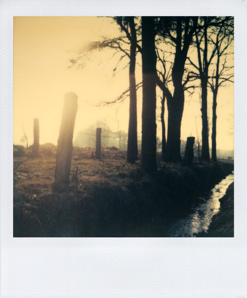 SX 70 Landschaft im Gegenlicht