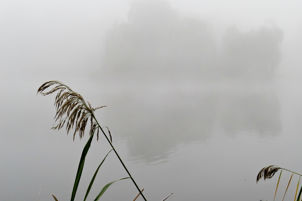 SX515120_Stadtseeinsel_im_Nebel