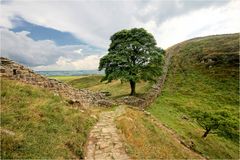 Sycamore Gap