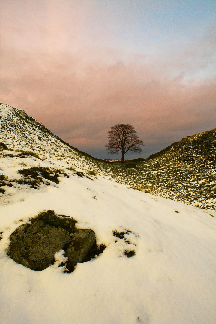 Sycamore Gap