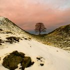 Sycamore Gap