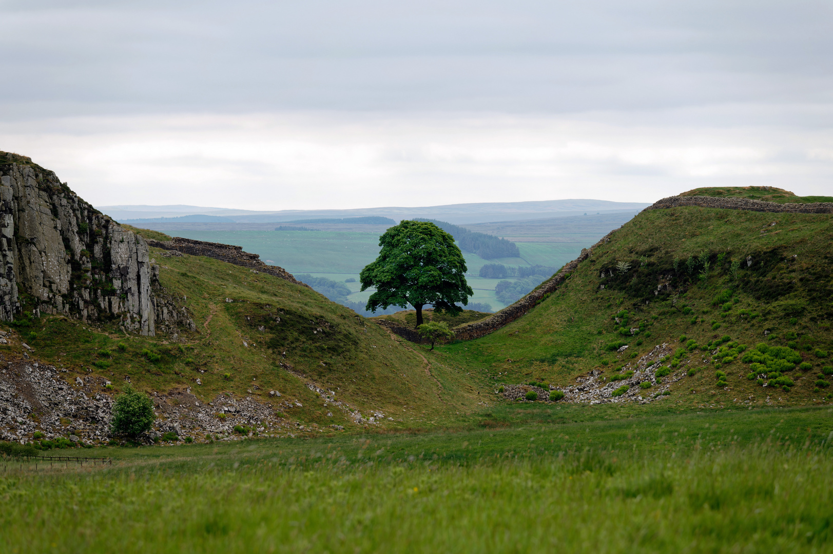 Sycamore Gap * Separated