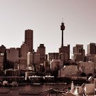 - Sydney -