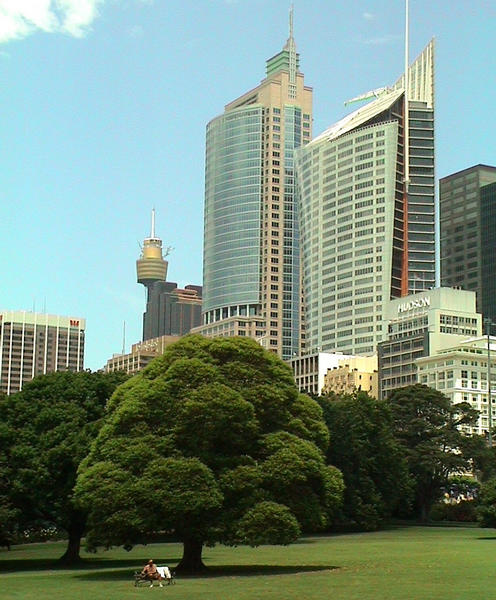 Sydney - Botanical Gardens - Skyline