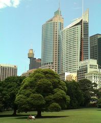 Sydney - Botanical Gardens - Skyline