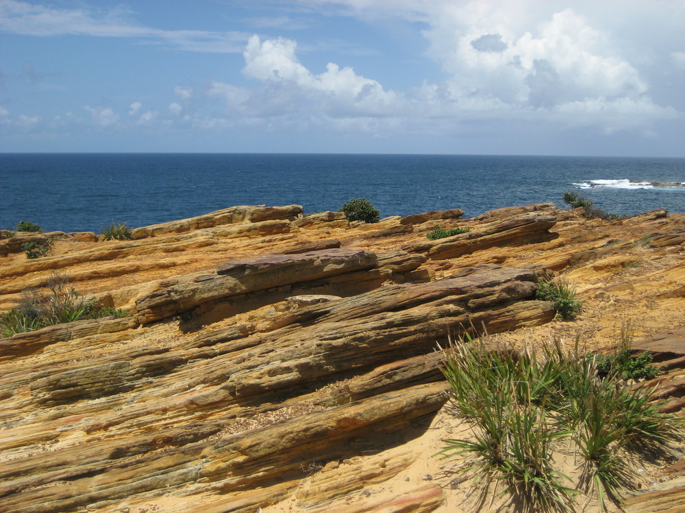 Sydney Cliffs