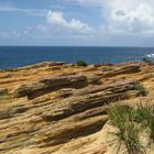 Sydney Cliffs