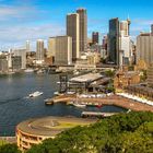 Sydney Cove