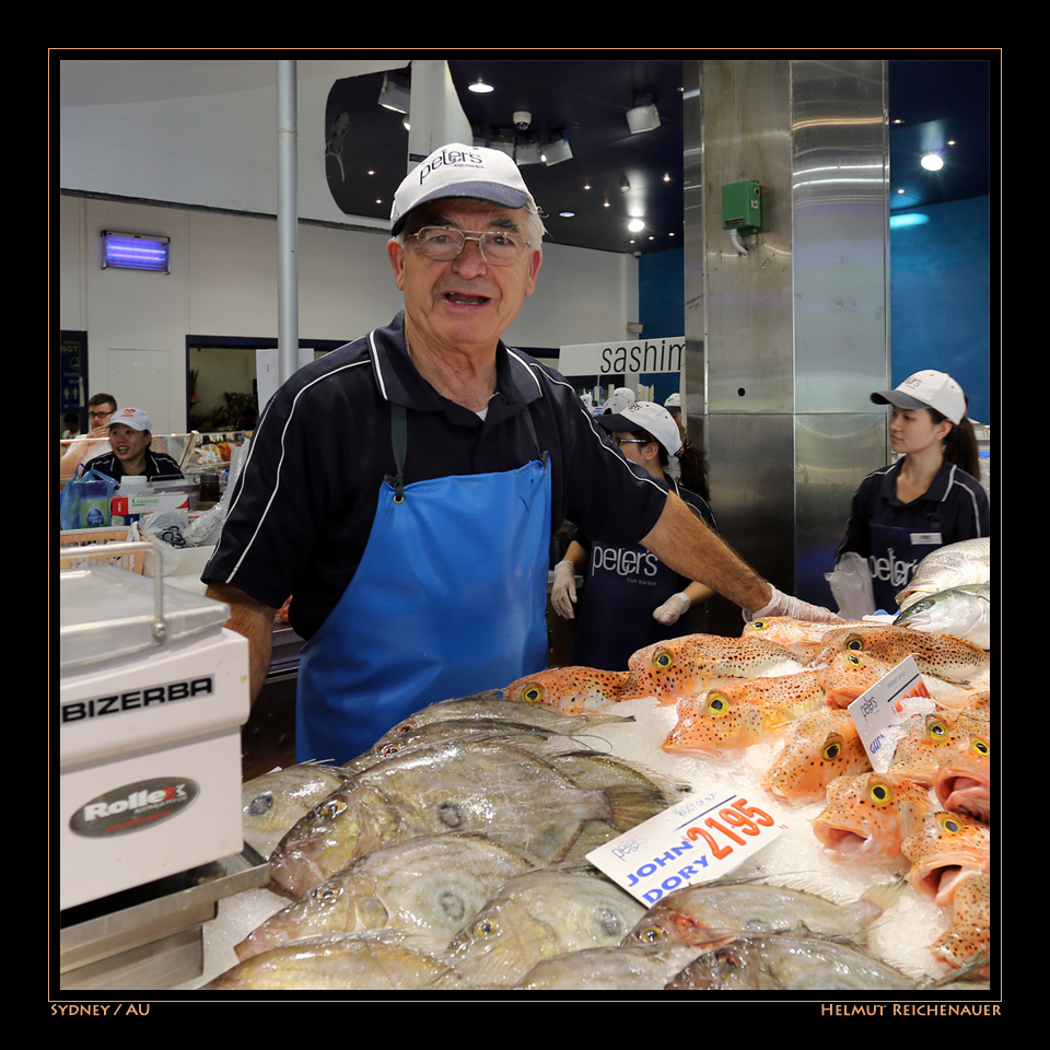 Sydney Fish Market I, Sydney, NSW / AU