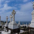 Sydney - Friedhof Waverley Cemetery / Bronte