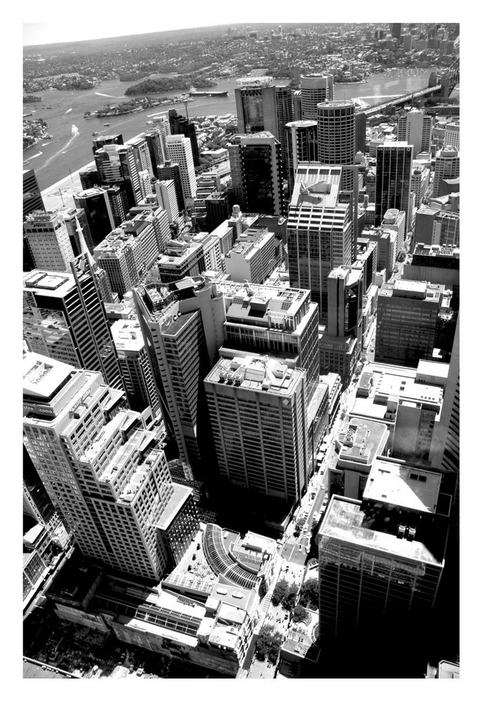 Sydney from City Tower