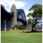 Sydney Habour Bridge